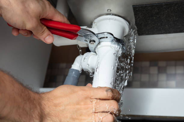 Best Commercial water damage restoration  in Forest View, IL