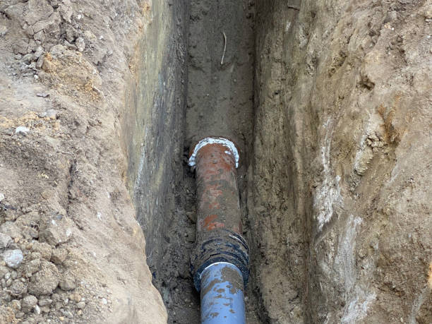 Best 24/7 water damage repair  in Forest View, IL