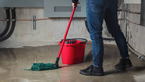 Best Sewage cleanup and water damage restoration  in Forest View, IL