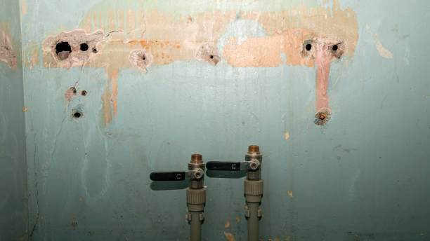  Forest View, IL Water damage restoration Pros