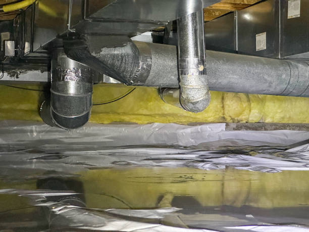 Best Residential water damage restoration  in Forest View, IL
