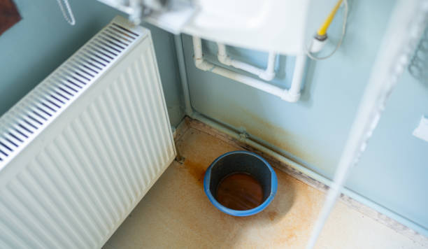Best Mold removal after water damage  in Forest View, IL