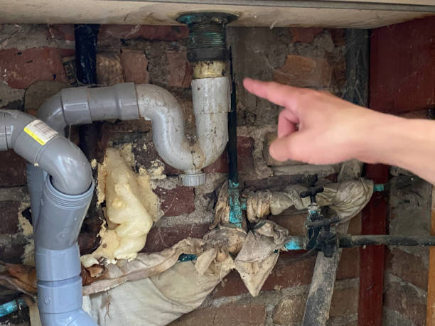 Best Emergency water damage restoration  in Forest View, IL
