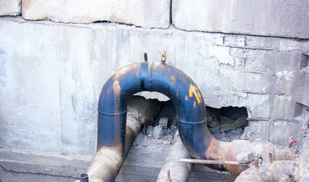 Best Residential water damage restoration  in Forest View, IL