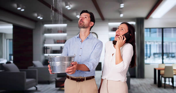 Best Water damage contractors near me  in Forest View, IL
