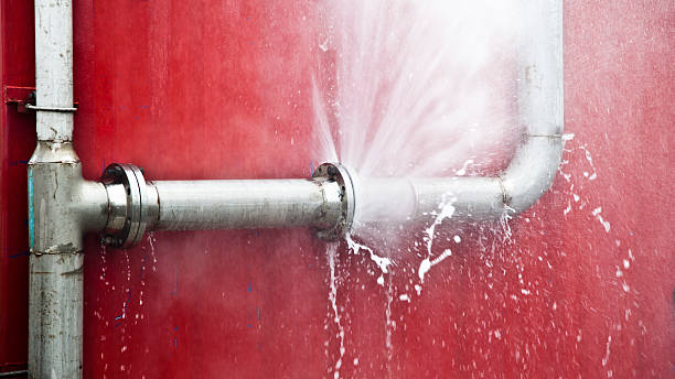 Best Fire Damage Restoration  in Forest View, IL