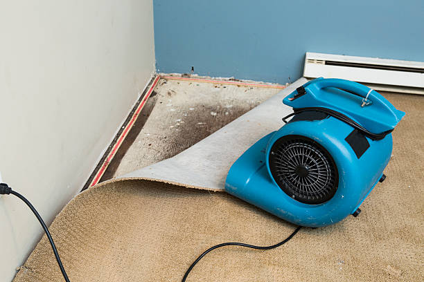 Best Water damage restoration near me  in Forest View, IL
